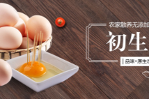 德州和膳生態(tài)農(nóng)業(yè)有限公司堅(jiān)持"誠實(shí)守信"的原則為廣大客戶提供優(yōu)質(zhì)的服務(wù)